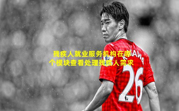 残疾人就业服务机构在哪个模块查看处理残疾人需求